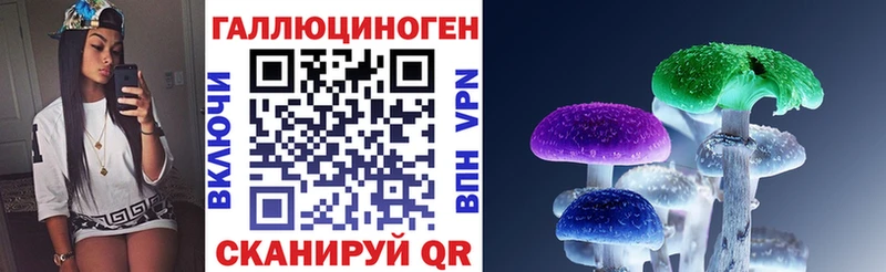 Галлюциногенные грибы Psilocybe Белебей